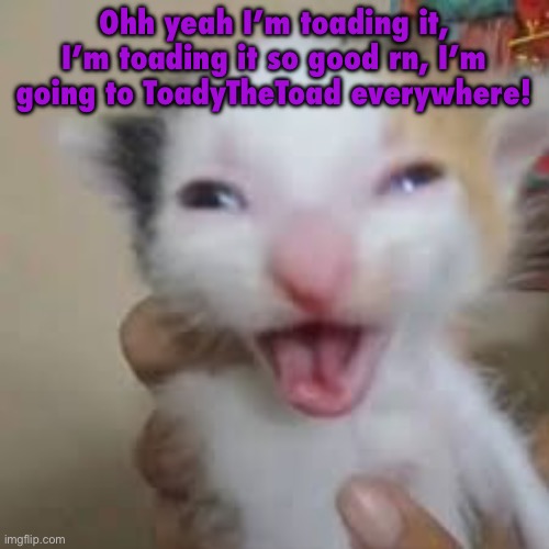 Happy cat | Ohh yeah I’m toading it, I’m toading it so good rn, I’m going to ToadyTheToad everywhere! | image tagged in happy cat | made w/ Imgflip meme maker