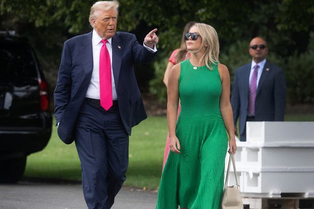 Karoline Leavitt green dress Blank Meme Template