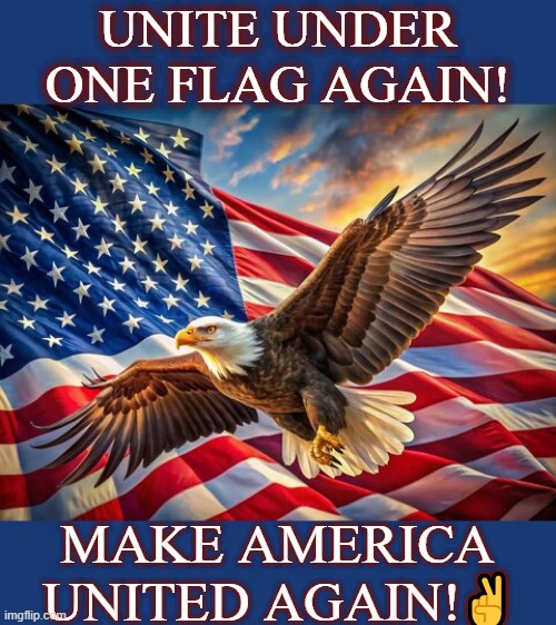 Make America United Again | UNITE UNDER ONE FLAG AGAIN! MAKE AMERICA UNITED AGAIN!✌ | image tagged in bringing the american people back together again | made w/ Imgflip meme maker
