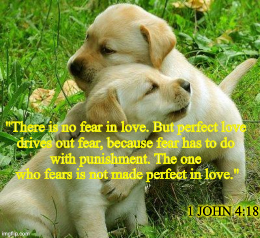 "There is no fear in love. But perfect love 
drives out fear, because fear has to do 
with punishment. The one 
who fears is not made perfec | image tagged in puppy i love bro | made w/ Imgflip meme maker