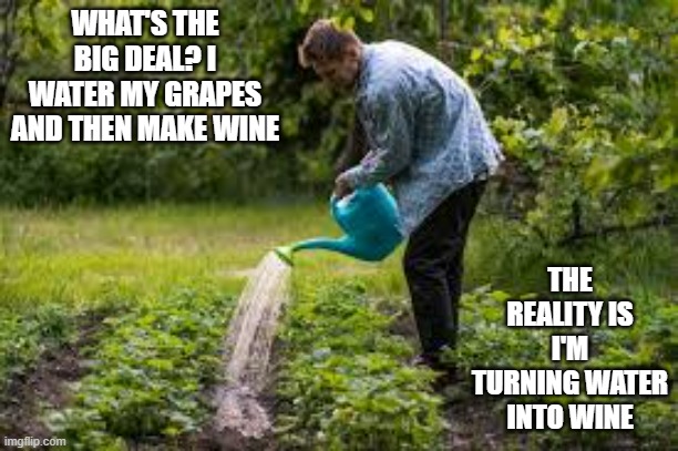 I water my grapes then make wine. In other words, I'm changing water into wine. | WHAT'S THE BIG DEAL? I WATER MY GRAPES AND THEN MAKE WINE; THE REALITY IS I'M TURNING WATER INTO WINE | image tagged in funny,water,wine,humor,play on words,miracle | made w/ Imgflip meme maker