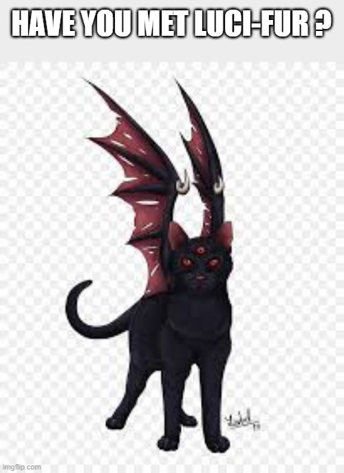 We call the cat devil Luci-fur.  - funny - | HAVE YOU MET LUCI-FUR ? | image tagged in cats,funny,humor,kittens,play on words,devil | made w/ Imgflip meme maker