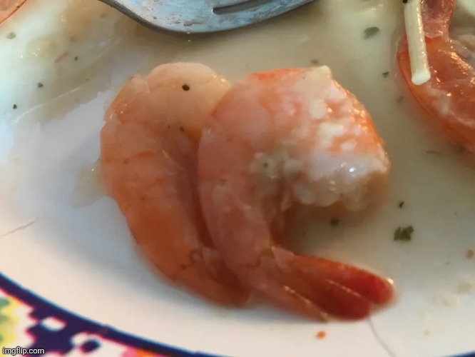 Shrimp humping another shrimp | image tagged in shrimp humping another shrimp | made w/ Imgflip meme maker