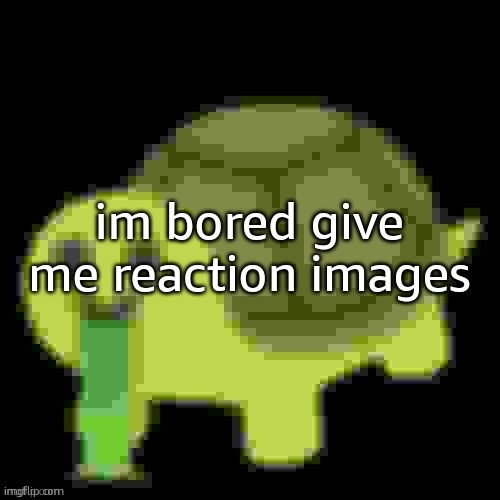 Low Quality Barfing Turtle | im bored give me reaction images | image tagged in low quality barfing turtle | made w/ Imgflip meme maker