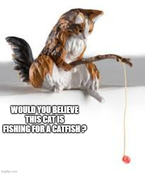 would you believe that this cat is fishing for catfish?  - funny - | WOULD YOU BELIEVE THIS CAT IS FISHING FOR A CATFISH ? | image tagged in cats,funny,kittens,humor,fishing,play on words | made w/ Imgflip meme maker