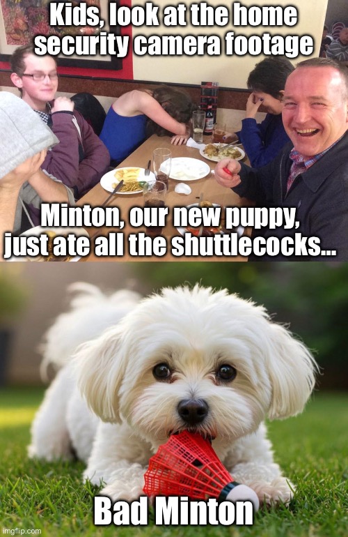 Poor dog gonna be in trouble | Kids, look at the home security camera footage; Minton, our new puppy, just ate all the shuttlecocks…; Bad Minton | image tagged in dad joke meme,badminton,puppy,eating | made w/ Imgflip meme maker