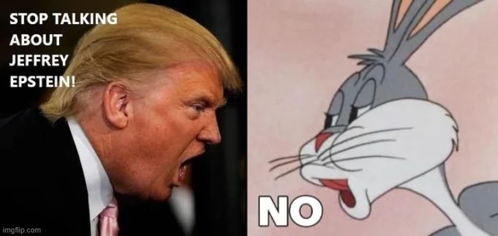 I dont think i will | image tagged in memes,funny,politics,donald trump,jeffrey epstein,political meme | made w/ Imgflip meme maker
