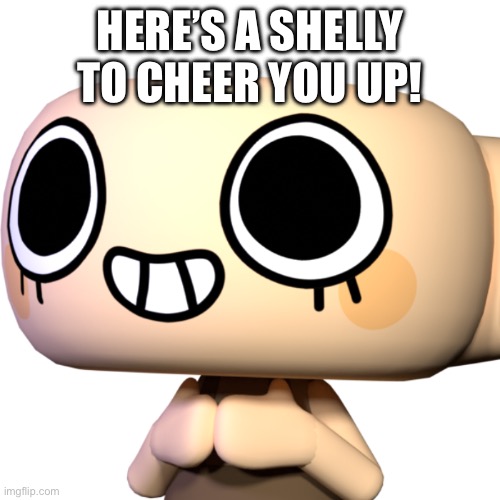Shelly | HERE’S A SHELLY TO CHEER YOU UP! | image tagged in shelly | made w/ Imgflip meme maker