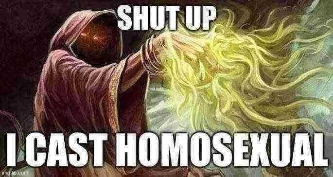 I cast homosexual | image tagged in i cast homosexual | made w/ Imgflip meme maker