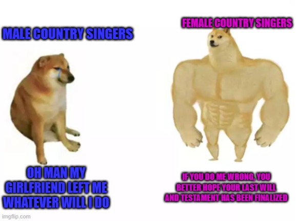 There are two types of people | FEMALE COUNTRY SINGERS; MALE COUNTRY SINGERS; OH MAN MY GIRLFRIEND LEFT ME
WHATEVER WILL I DO; IF YOU DO ME WRONG, YOU BETTER HOPE YOUR LAST WILL AND TESTAMENT HAS BEEN FINALIZED | image tagged in buff doge vs cheems reversed,memes,funny,music,country music,boys vs girls | made w/ Imgflip meme maker