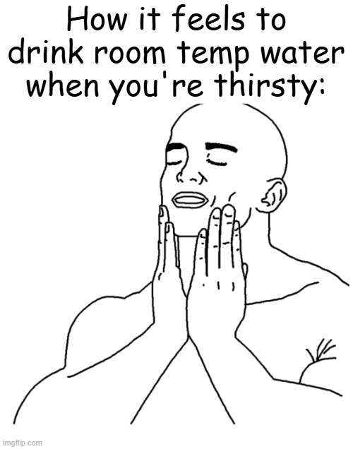 Tbh room temp water is the best. Change my mind. | How it feels to drink room temp water when you're thirsty: | image tagged in soothing face rub | made w/ Imgflip meme maker