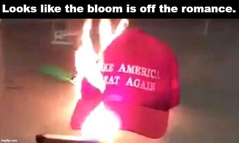 Looks like the bloom is off the romance. | image tagged in trump,maga,discovery,liar | made w/ Imgflip meme maker