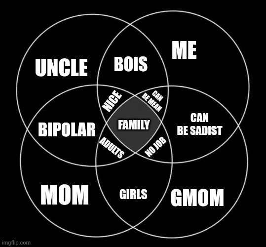 4 circle venn diagram | ME; BOIS; UNCLE; CAN BE MEAN; NICE; CAN BE SADIST; FAMILY; BIPOLAR; NO JOB; ADULTS; MOM; GIRLS; GMOM | image tagged in 4 circle venn diagram | made w/ Imgflip meme maker