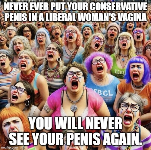 Just a warning!! | NEVER EVER PUT YOUR CONSERVATIVE PENIS IN A LIBERAL WOMAN'S VAGINA; YOU WILL NEVER SEE YOUR PENIS AGAIN. | image tagged in woke white liberal women,conservative,liberal,woman,penis,vagina | made w/ Imgflip meme maker