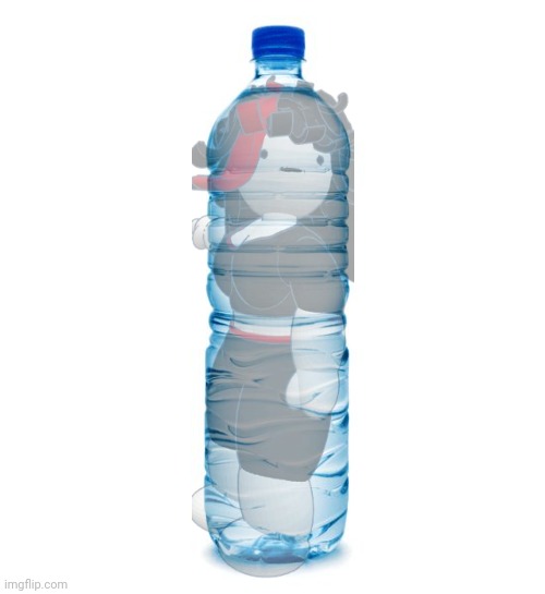 water bottle  | image tagged in water bottle | made w/ Imgflip meme maker