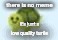 low quality turtle | there is no meme; it's just a low quality turtle | image tagged in low quality turtle | made w/ Imgflip meme maker