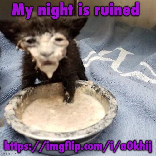 I fucking clicked it again | My night is ruined; https://imgflip.com/i/a0khij | image tagged in pie 3 | made w/ Imgflip meme maker