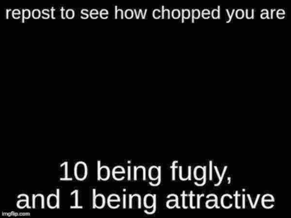 image tagged in memes | made w/ Imgflip meme maker