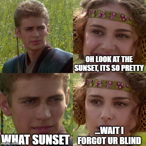 i had to this came to my head | OH LOOK AT THE SUNSET, ITS SO PRETTY; ...WAIT I FORGOT UR BLIND; WHAT SUNSET | image tagged in anakin padme 4 panel,gifs | made w/ Imgflip meme maker
