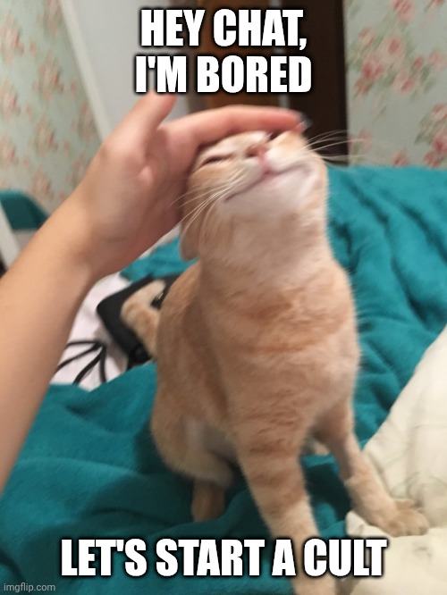 /j or /srs? We'll never know | HEY CHAT, I'M BORED; LET'S START A CULT | image tagged in cat pat | made w/ Imgflip meme maker