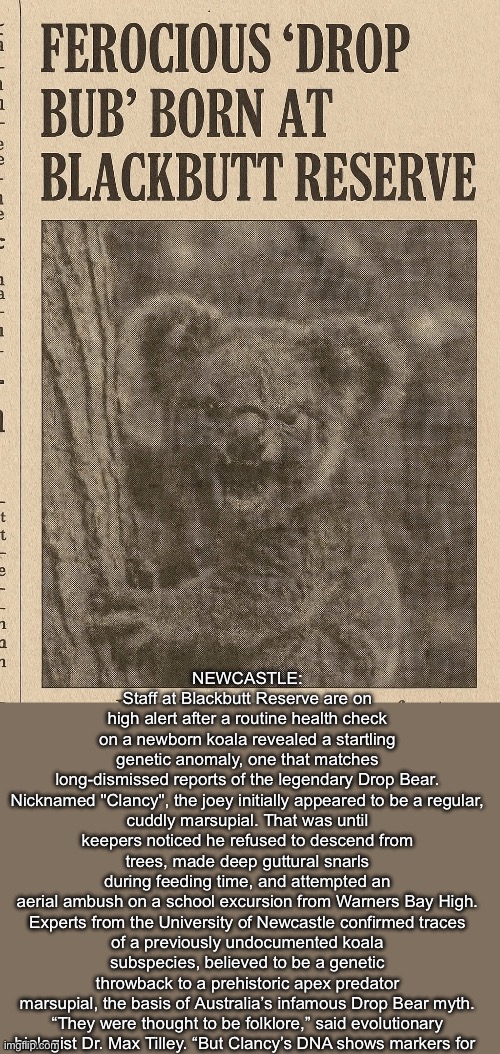 Drop Bears | NEWCASTLE: Staff at Blackbutt Reserve are on high alert after a routine health check on a newborn koala revealed a startling genetic anomaly, one that matches long-dismissed reports of the legendary Drop Bear.

Nicknamed "Clancy", the joey initially appeared to be a regular, cuddly marsupial. That was until keepers noticed he refused to descend from trees, made deep guttural snarls during feeding time, and attempted an aerial ambush on a school excursion from Warners Bay High.

Experts from the University of Newcastle confirmed traces of a previously undocumented koala subspecies, believed to be a genetic throwback to a prehistoric apex predator marsupial, the basis of Australia’s infamous Drop Bear myth.

“They were thought to be folklore,” said evolutionary biologist Dr. Max Tilley. “But Clancy’s DNA shows markers for | image tagged in drop,bear,vicious cycle,science | made w/ Imgflip meme maker