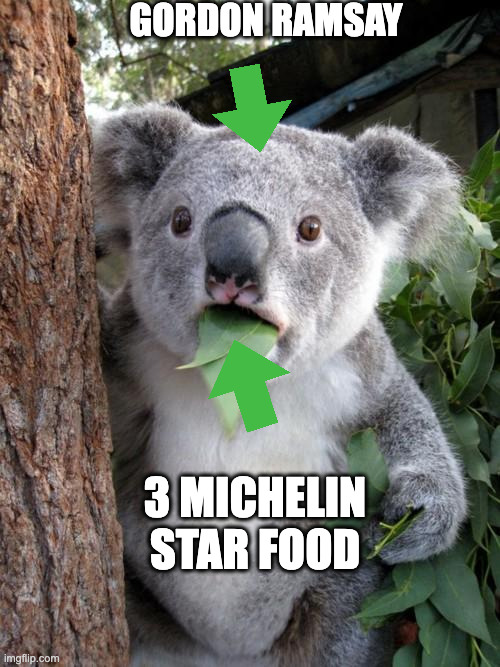 fooooooooooood | GORDON RAMSAY; 3 MICHELIN STAR FOOD | image tagged in memes,surprised koala | made w/ Imgflip meme maker
