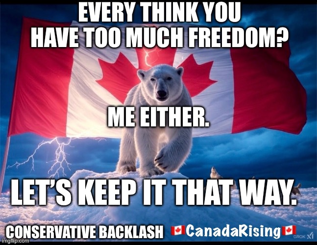 CanadaRising | EVERY THINK YOU HAVE TOO MUCH FREEDOM? ME EITHER. LET’S KEEP IT THAT WAY. CONSERVATIVE BACKLASH | image tagged in canadian politics | made w/ Imgflip meme maker