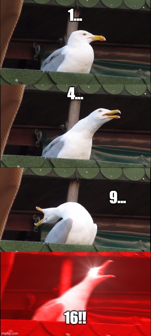 Math | 1... 4... 9... 16!! | image tagged in memes,inhaling seagull | made w/ Imgflip meme maker