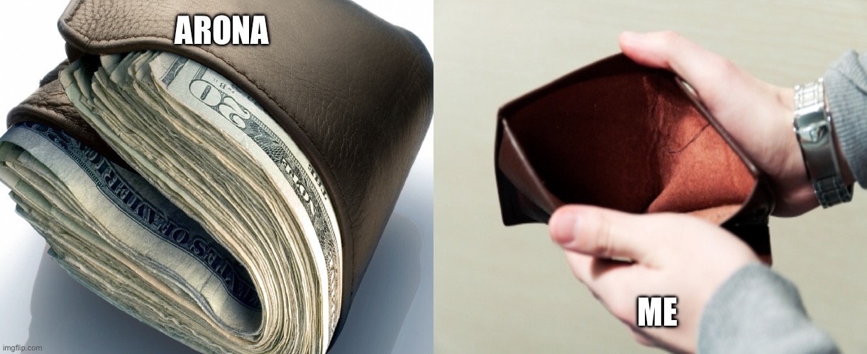 Full wallet and empty wallet | ARONA ME | image tagged in full wallet and empty wallet | made w/ Imgflip meme maker