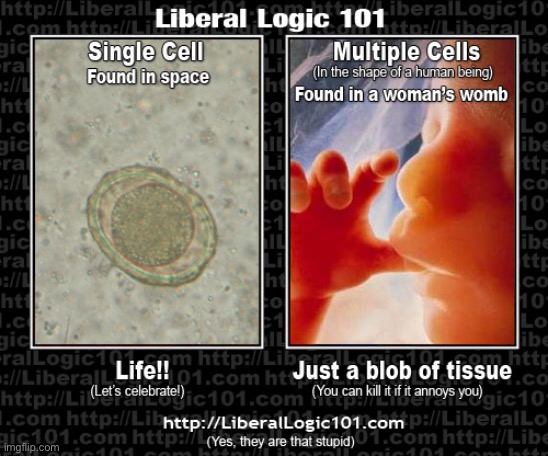 Single Cell Vs Multiple Cells | image tagged in liberal logic,liberal privilege,liberal hypocrisy,abortion is murder,libtards,nutcase | made w/ Imgflip meme maker