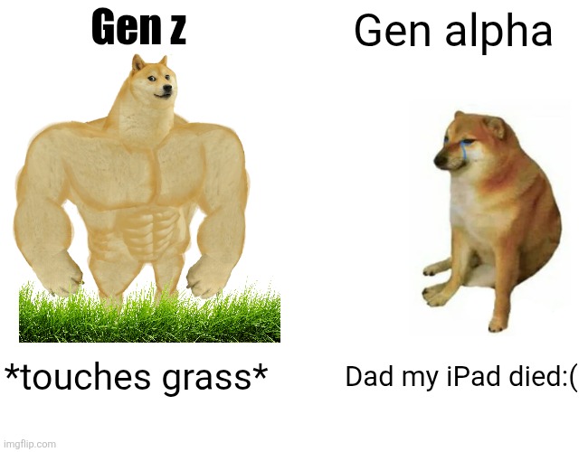 >^•w•^< grass | Gen z; Gen alpha; *touches grass*; Dad my iPad died:( | image tagged in memes,buff doge vs cheems | made w/ Imgflip meme maker