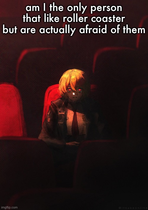 Don Quixote | am I the only person that like roller coaster but are actually afraid of them | image tagged in don quixote | made w/ Imgflip meme maker