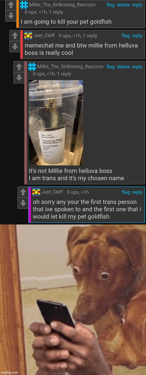 image tagged in dogs staring at phone in suprise | made w/ Imgflip meme maker