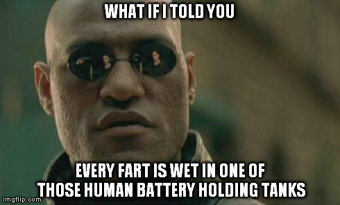 Matrix Morpheus Meme | WHAT IF I TOLD YOU EVERY FART IS WET IN ONE OF THOSE HUMAN BATTERY HOLDING TANKS | image tagged in memes,matrix morpheus | made w/ Imgflip meme maker