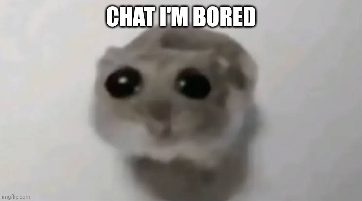 :< | CHAT I'M BORED | image tagged in sad hamster | made w/ Imgflip meme maker