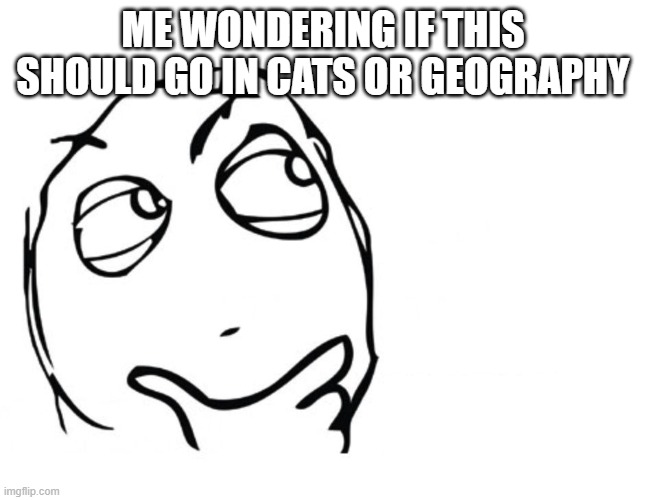 hmmm | ME WONDERING IF THIS SHOULD GO IN CATS OR GEOGRAPHY | image tagged in hmmm | made w/ Imgflip meme maker