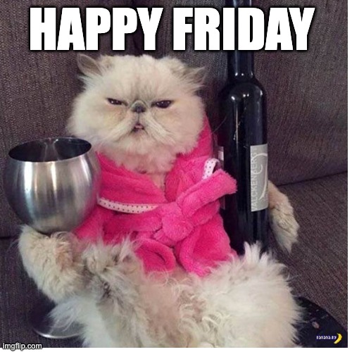 happy friday | HAPPY FRIDAY | image tagged in funny | made w/ Imgflip meme maker