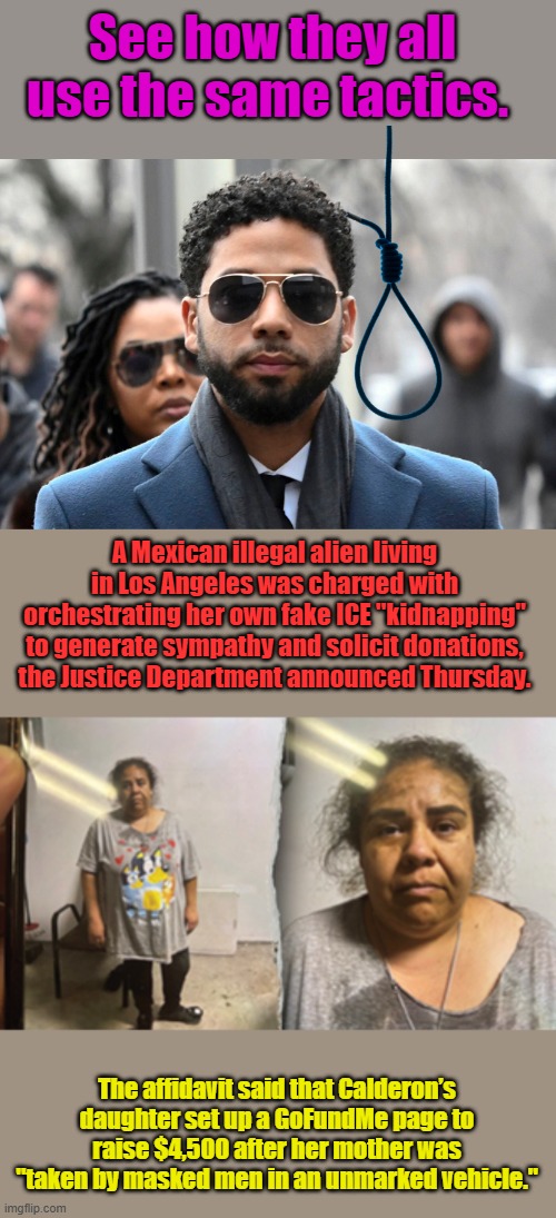 Thats what criminals do | See how they all use the same tactics. A Mexican illegal alien living in Los Angeles was charged with orchestrating her own fake ICE "kidnapping" to generate sympathy and solicit donations, the Justice Department announced Thursday. The affidavit said that Calderon’s daughter set up a GoFundMe page to raise $4,500 after her mother was "taken by masked men in an unmarked vehicle." | made w/ Imgflip meme maker