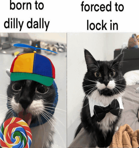 Born to dilly dally, forced to lock in Blank Meme Template