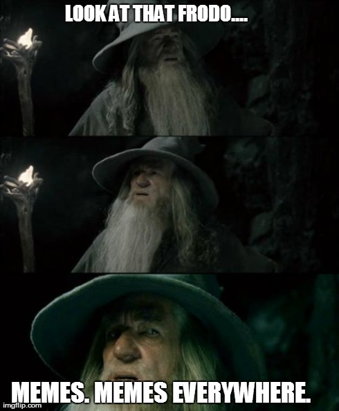 the memes. | LOOK AT THAT FRODO.... MEMES. MEMES EVERYWHERE. | image tagged in memes,confused gandalf | made w/ Imgflip meme maker