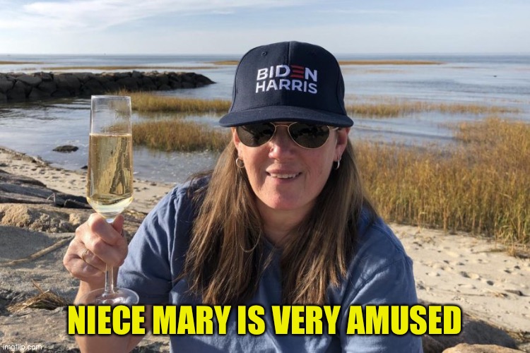 Mary Trump Biden Harris | NIECE MARY IS VERY AMUSED | image tagged in mary trump biden harris | made w/ Imgflip meme maker