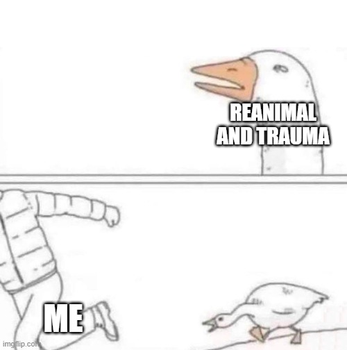 Goose Chase | REANIMAL AND TRAUMA; ME | image tagged in goose chase | made w/ Imgflip meme maker