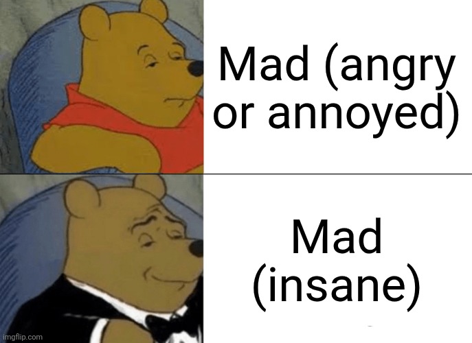 Tuxedo Winnie The Pooh | Mad (angry or annoyed); Mad (insane) | image tagged in memes,tuxedo winnie the pooh,mad,madness,insane,angry | made w/ Imgflip meme maker