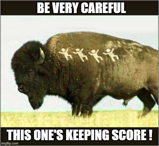Meanwhile In Yellowstone ... | BE VERY CAREFUL; THIS ONE'S KEEPING SCORE ! | image tagged in yellowstone,bison,keeping score | made w/ Imgflip meme maker