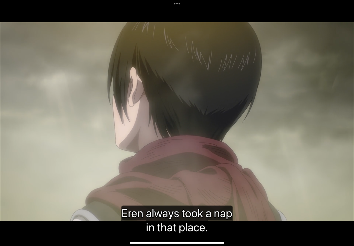 Mikasa Blank Meme Template