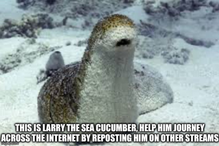 Just doin my part :3 | image tagged in larry the sea cucumber,cute,aww,so cute | made w/ Imgflip meme maker