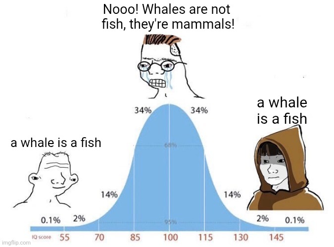 Bell Curve | Nooo! Whales are not 
fish, they're mammals! a whale is a fish; a whale is a fish | image tagged in bell curve | made w/ Imgflip meme maker
