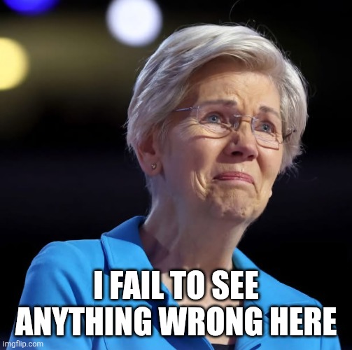 Sad Liz | I FAIL TO SEE ANYTHING WRONG HERE | image tagged in sad liz | made w/ Imgflip meme maker