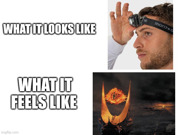 WHAT IT LOOKS LIKE; WHAT IT FEELS LIKE | image tagged in relatable i guess i don't know tags | made w/ Imgflip meme maker