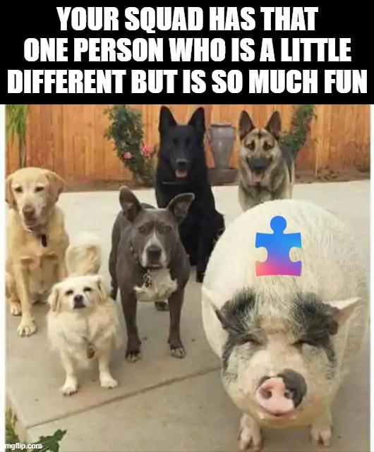 YOUR SQUAD HAS THAT ONE PERSON WHO IS A LITTLE DIFFERENT BUT IS SO MUCH FUN | image tagged in squad | made w/ Imgflip meme maker